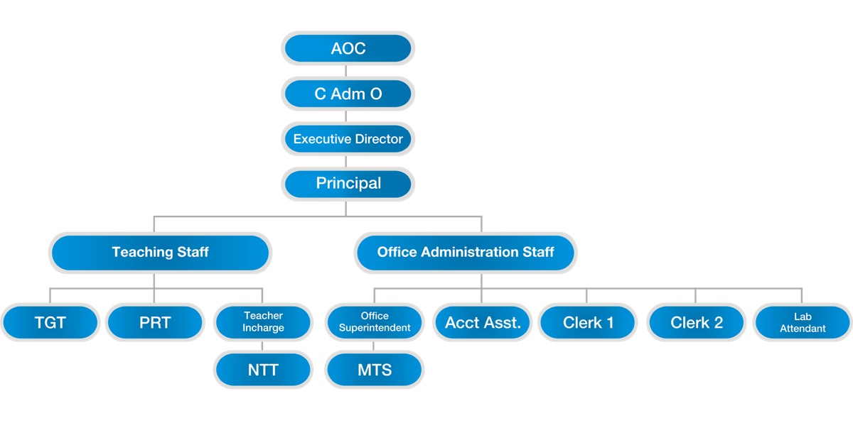 Organization Chart